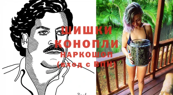 ПСИЛОЦИБИНОВЫЕ ГРИБЫ Балабаново