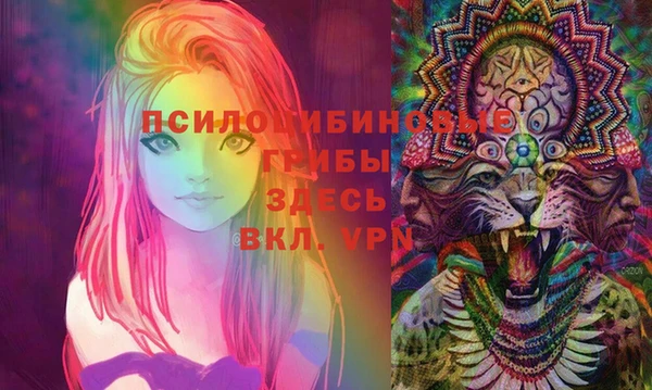 ПСИЛОЦИБИНОВЫЕ ГРИБЫ Балабаново
